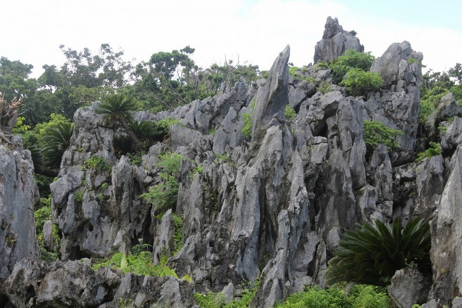 沖繩, 蜜月旅行, 旅遊指南, 景點推薦, 國際通, 美國村, 首里城, 海洋博公園, 古宇利島, 青之洞窟, 萬座毛, 購物中心, 文化體驗, 海灘, 歷史遺跡, 自然景觀, 美食, 浪漫, 婚紗攝影